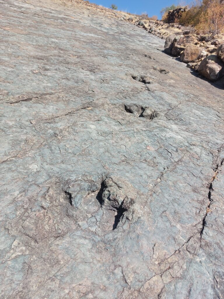 Dinosaur Footprints Niño Mayu