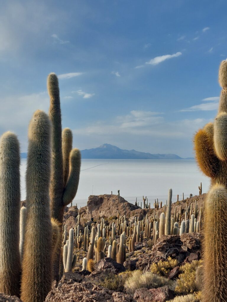 Salar de Uyuni Bolivia: Here are our Tips for a Successful Trip
