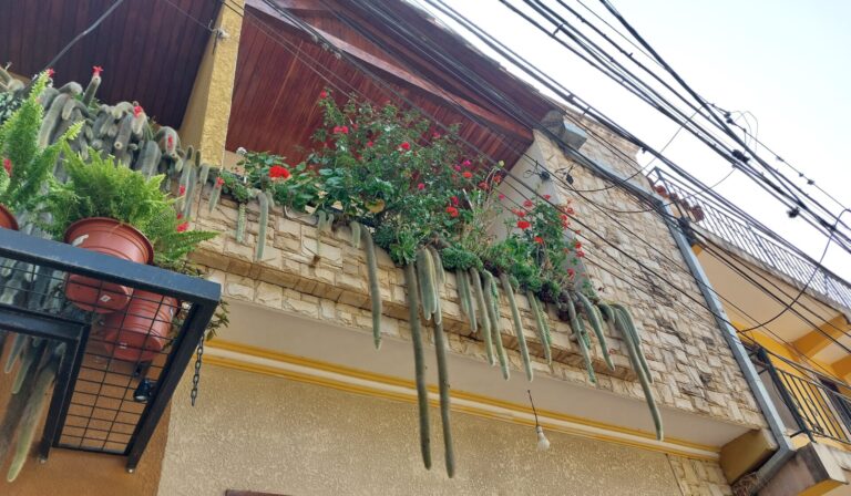 Bolivia Samaipata – A guide to visit the hippie-town