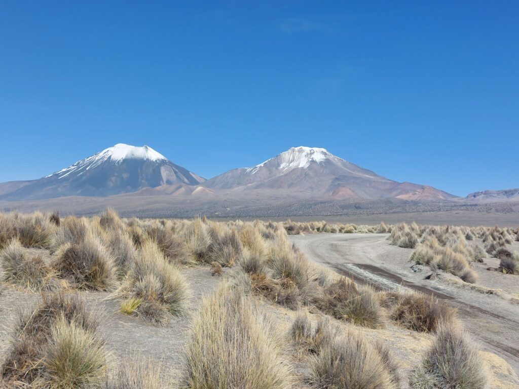 Volcan Pomerape (6,282m) and Volcan Parinacota (6,348m)