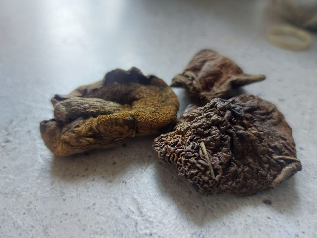 Dried Mushrooms an umami addition to gluten free backpacking meals and vegan backpacking recipes