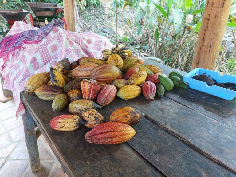 Peru Chocolate Tasting: Our Top 16 List