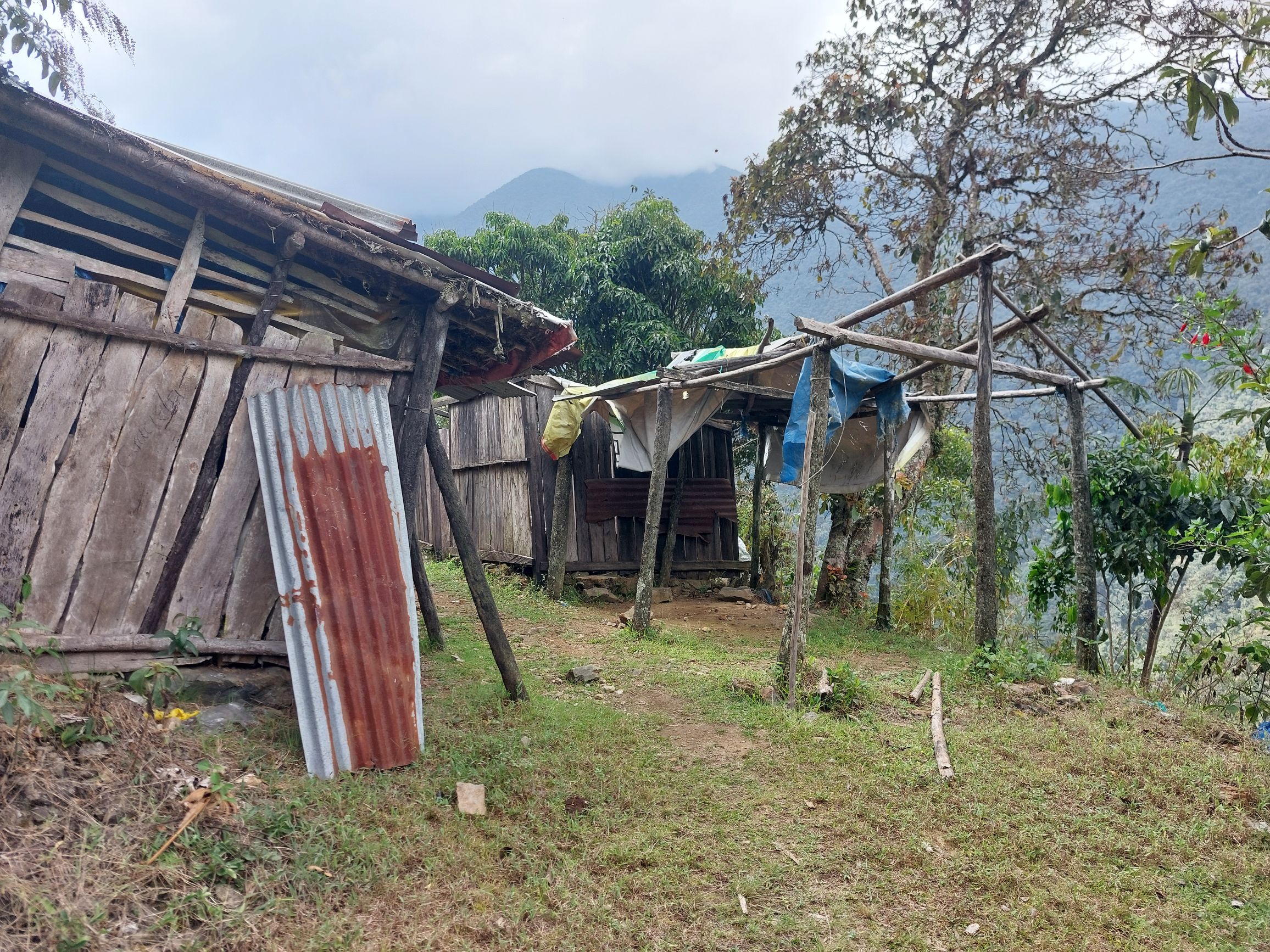 Camp San Francisco II, El Choro Trek Bolivia