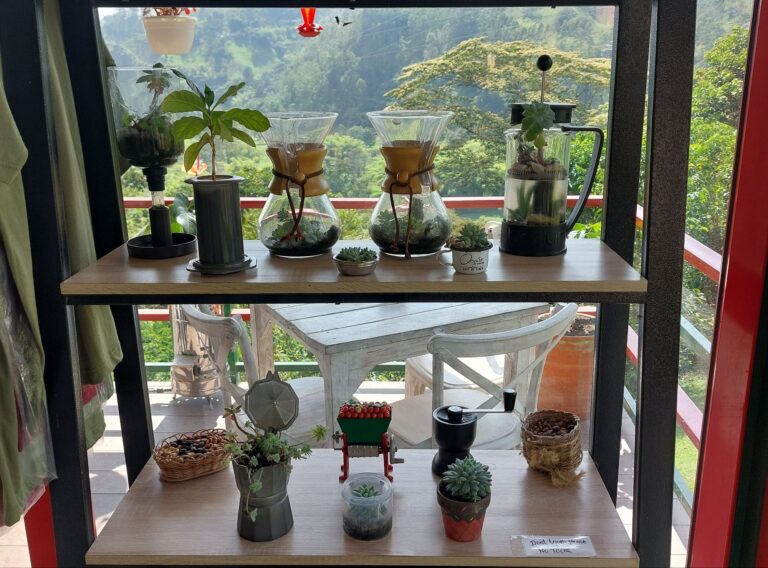 Best Cafés in Bolivia
